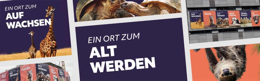Eine Bildcollage an verschiedenen tierischen Motiven.