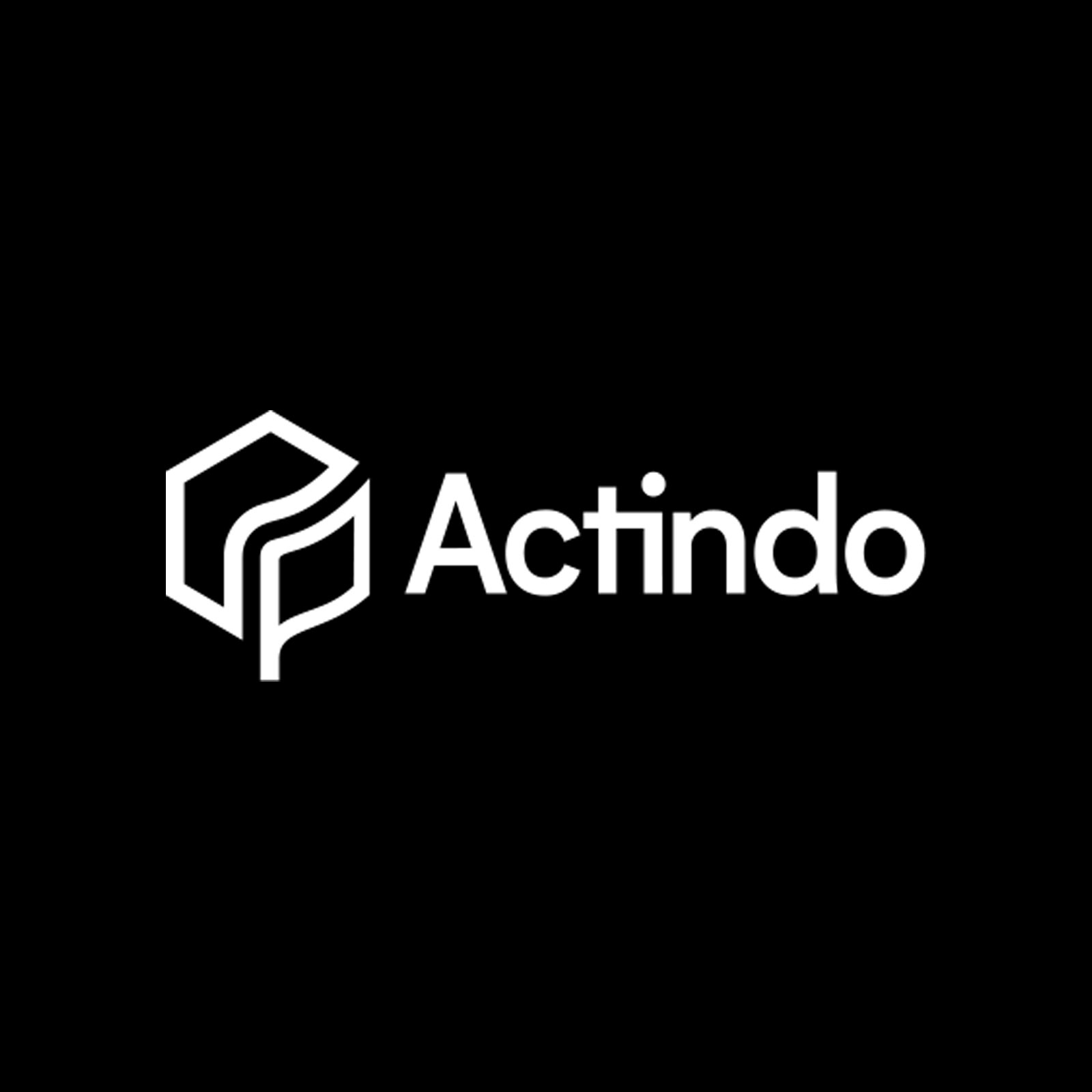 Das Actindo Logo.
