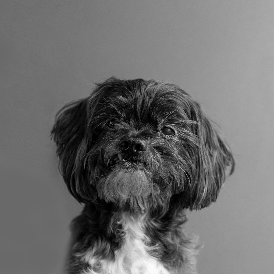Ein Portraitfoto von Rico.